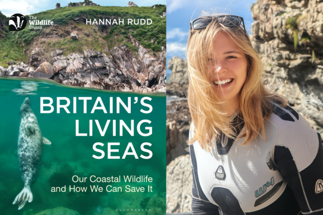Cover image of Britain's Living Seas book alongside photo of author, Hannah Rudd
