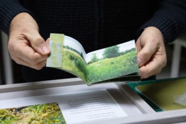 Photo of a person's hands holding open a book of pictures
