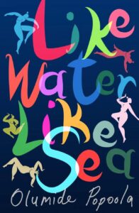 Image of Like Water Like Sea book cover