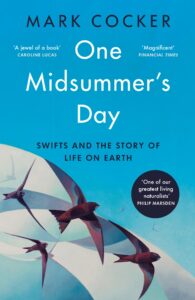 Image of One Midsummer's Day book cover